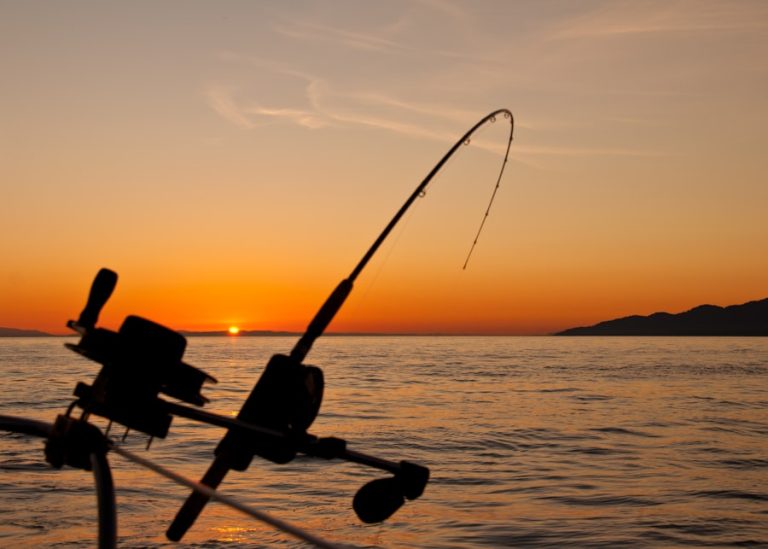 Bass fishing close-up